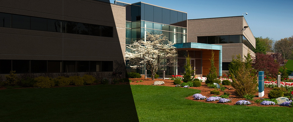 Spring Valley Landscapers