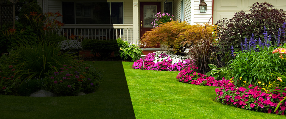 Spring Valley Landscapers