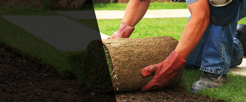 Spring Valley Landscapers